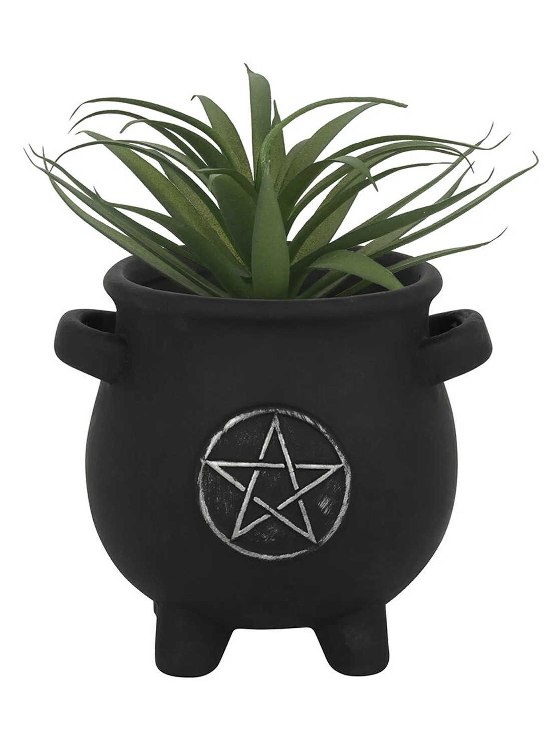 Penta Cauldron Planter Pot - black gothic flower pot shaped like a witch's cauldron with silver colored pentagram, green plants and small side handles.